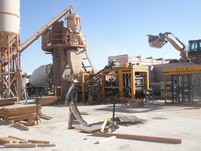 阿爾及利亞(yà)砌塊磚機客(ke)戶